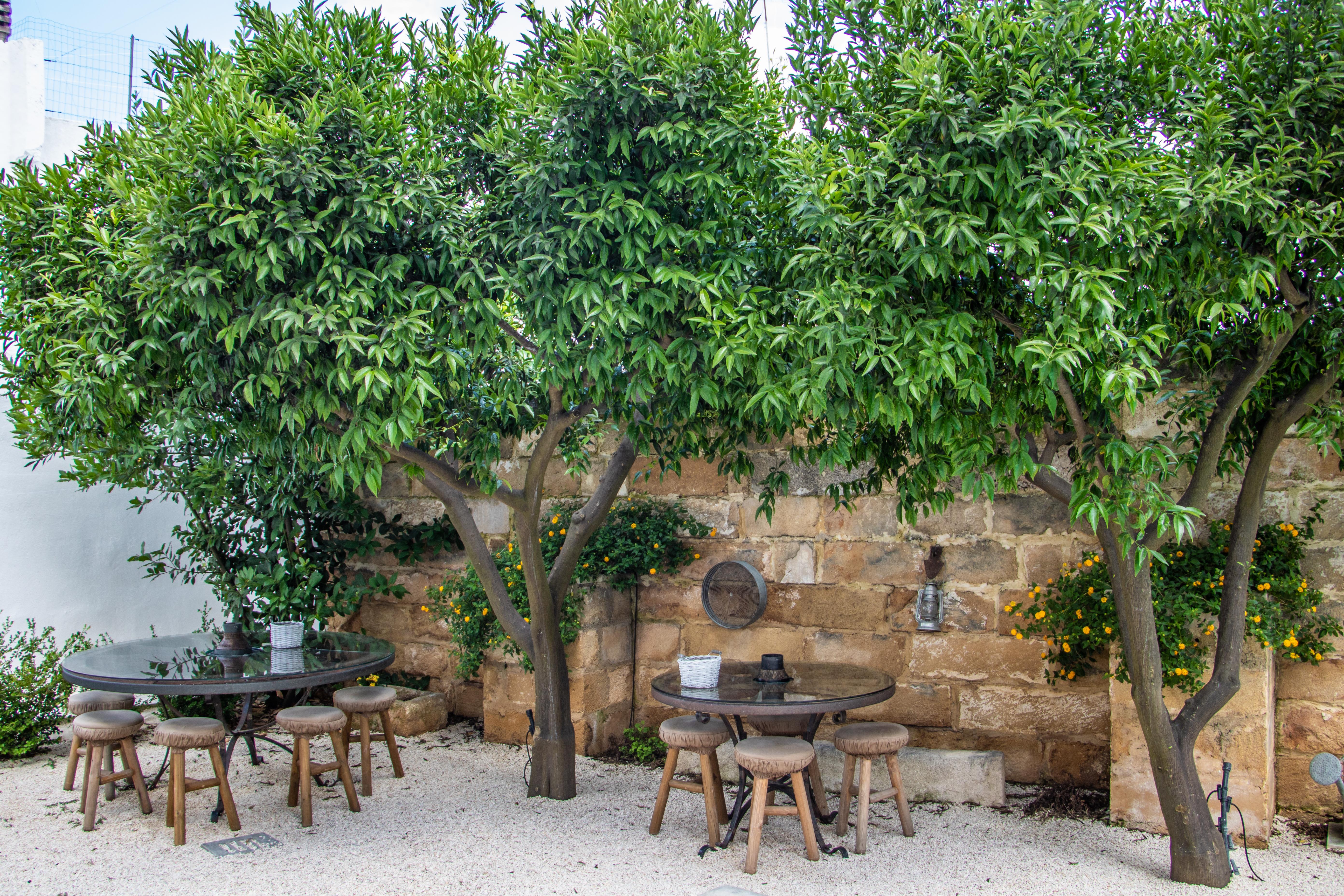 Palazzo Castriota Bed & Breakfast Alezio Exterior foto